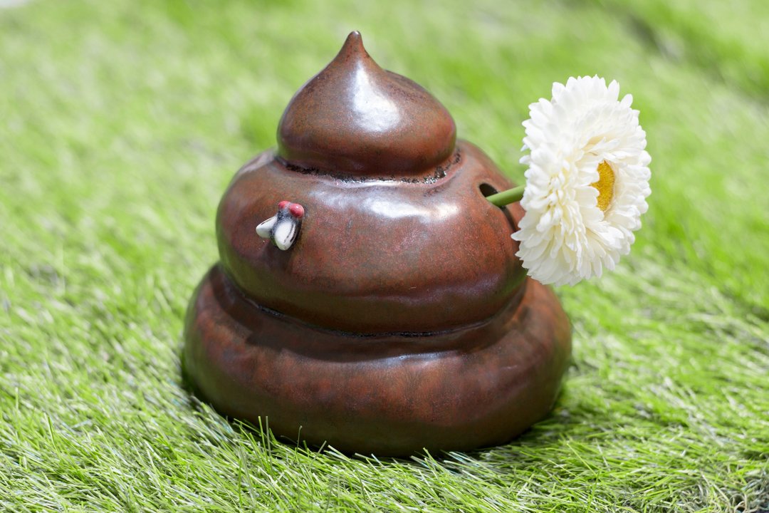 一朵鲜花插在牛粪上花瓶 - 陶器 - 花瓶/陶器 - 陶 