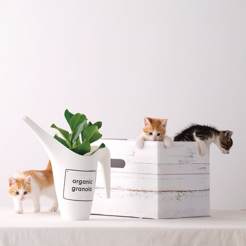 mt REMAKE SHEET 改造装饰贴【油漆木 (MTCAR0018)】 - 木工/竹艺/纸艺 - 纸 白色