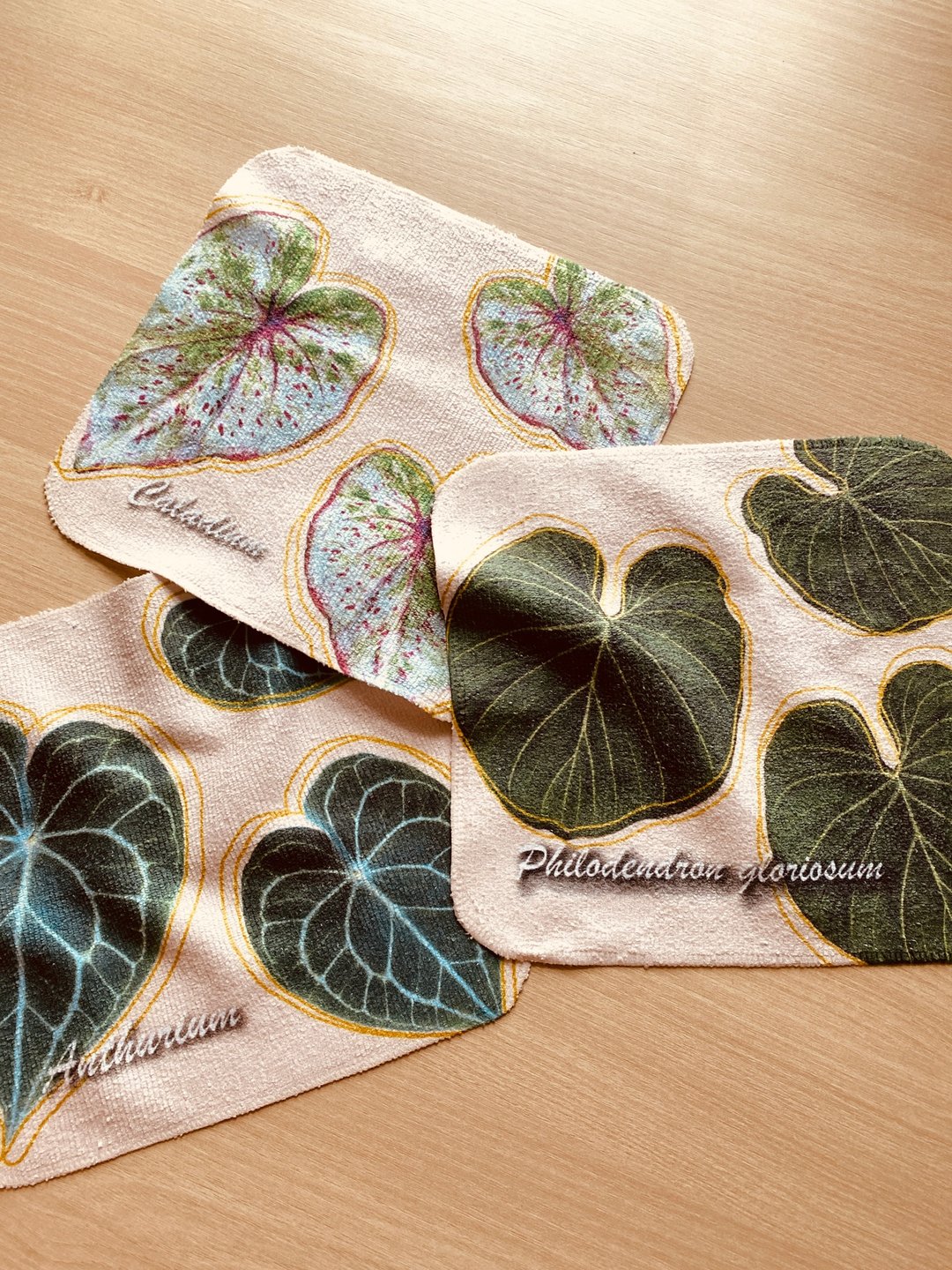 BLR 观叶植物 小方巾 圆叶花烛 锦缎蔓绿绒 - 手帕/方巾 - 聚酯纤维 卡其色