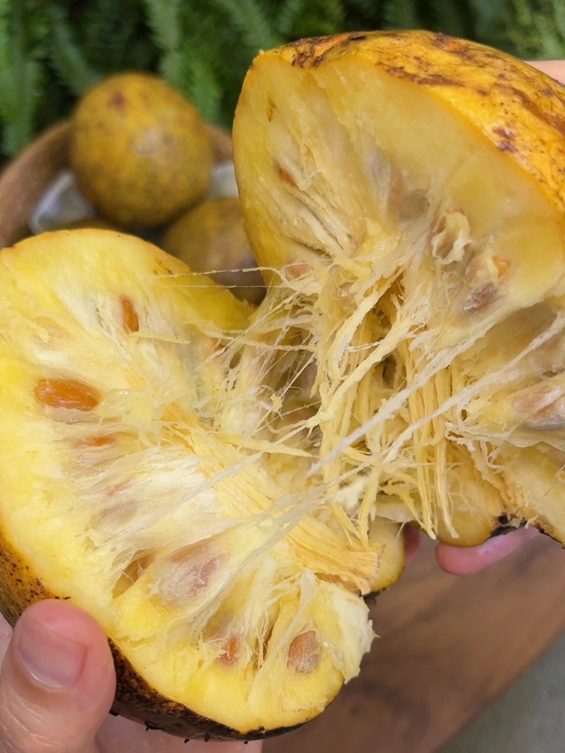 埔里特产-阿那那 /6罐装 - 其他 - 新鲜食材 紫色
