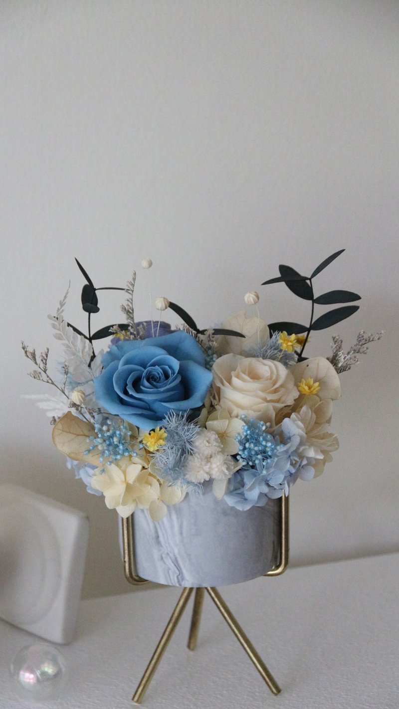 【永生花礼】永生花盆栽 开幕贺礼 干燥花 干燥花桌花 永生玫瑰 - 干燥花/捧花 - 瓷 蓝色