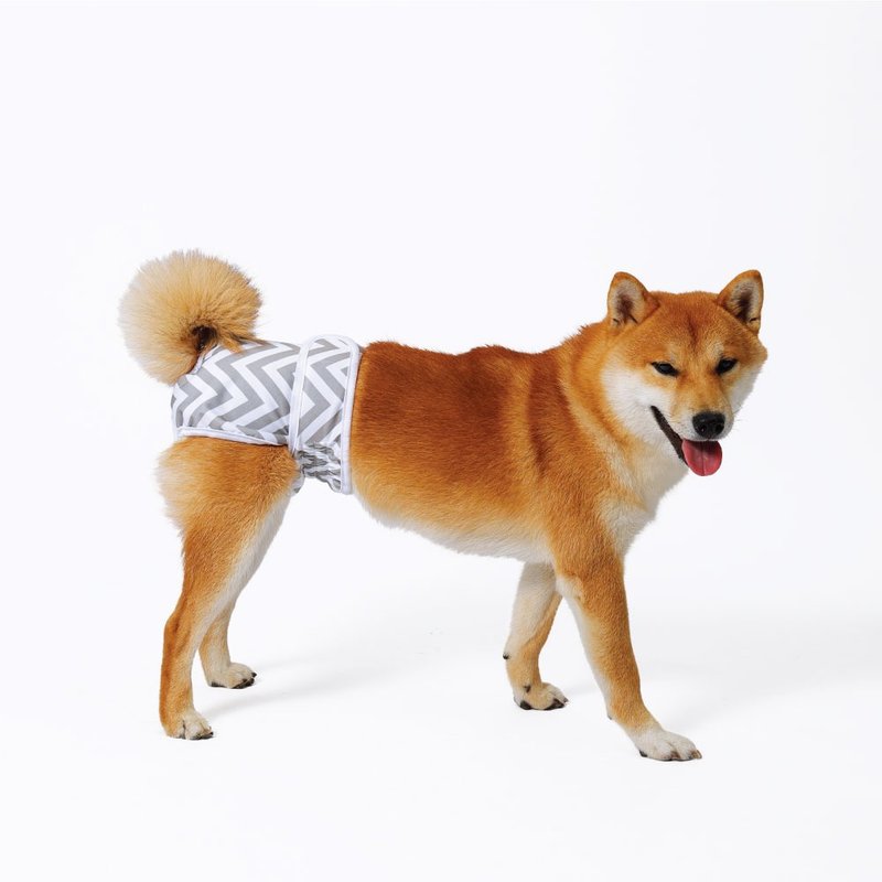 【MPETS】超强吸水性! 母狗可水洗礼貌带(五个尺寸可选择) - 其他 - 其他材质 多色