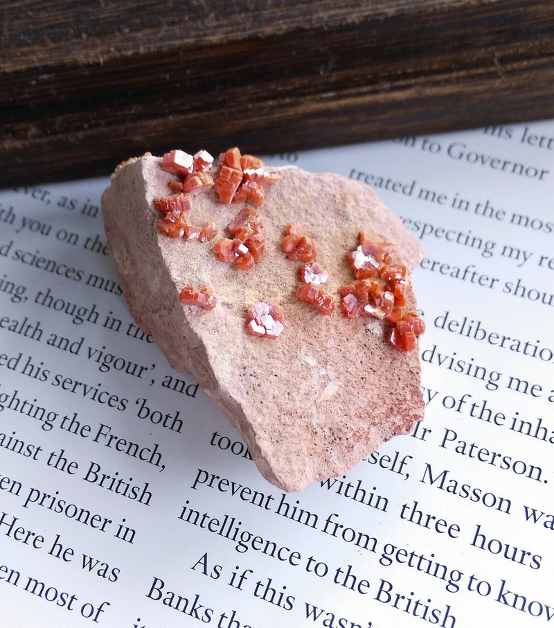 Vanadinite 摩洛哥产地 钒铅矿  天然矿石 原矿 - 摆饰 - 其他材质 