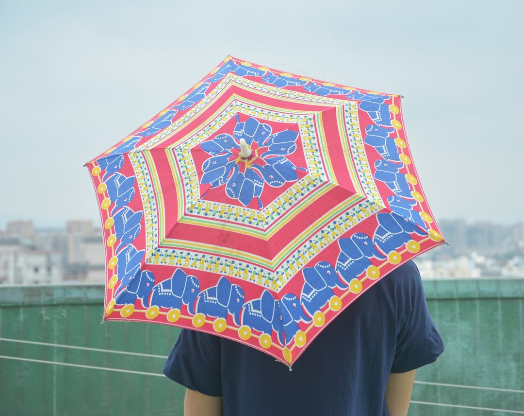 早期德国旧货 大象儿童雨伞 - 其他 - 防水材质 多色