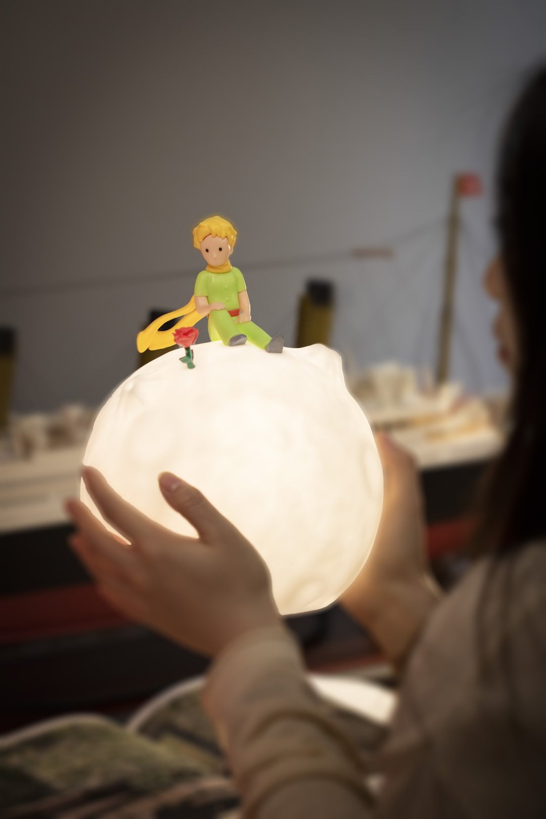 VIPO 小王子玫瑰星球灯 - 23cm - 灯具/灯饰 - 塑料 