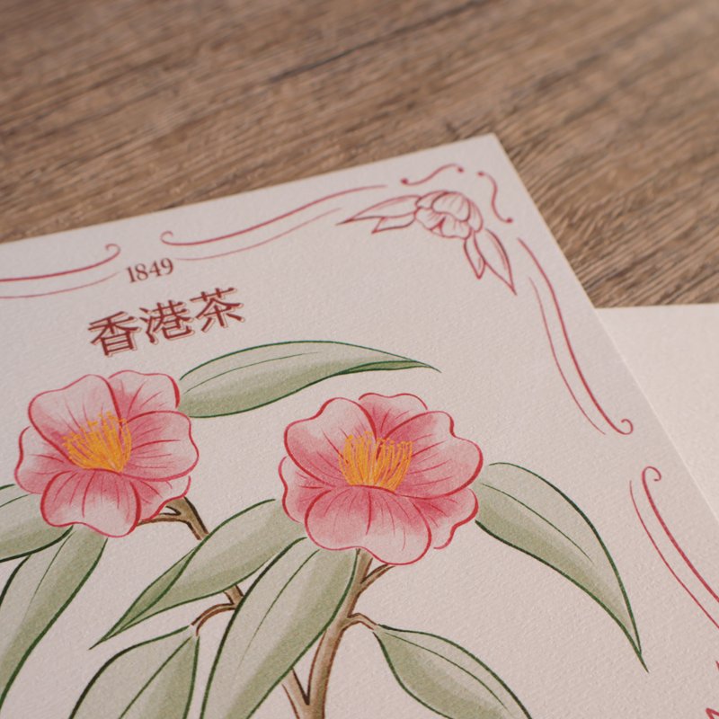 香港花系列明信片 — 香港茶 - 卡片/明信片 - 纸 