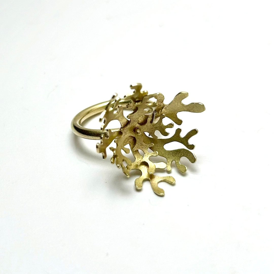 【Plant 系列】#a462 蕨叶戒指(14号)/ 黄铜/ 手工制作/定制化 - 戒指 - 铜/黄铜 金色