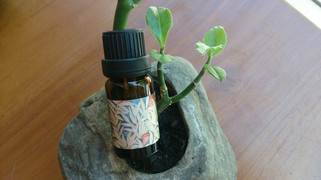 印茴-白马鞭草精油 - 香薰/精油/线香 - 精油 透明