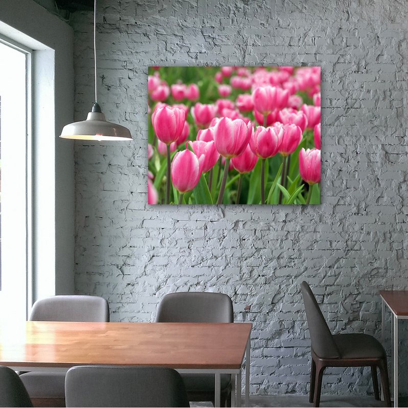 无框复制画 |  郁金香A0019 | K艺术家 - 海报/装饰画/版画 - 其他材质 多色