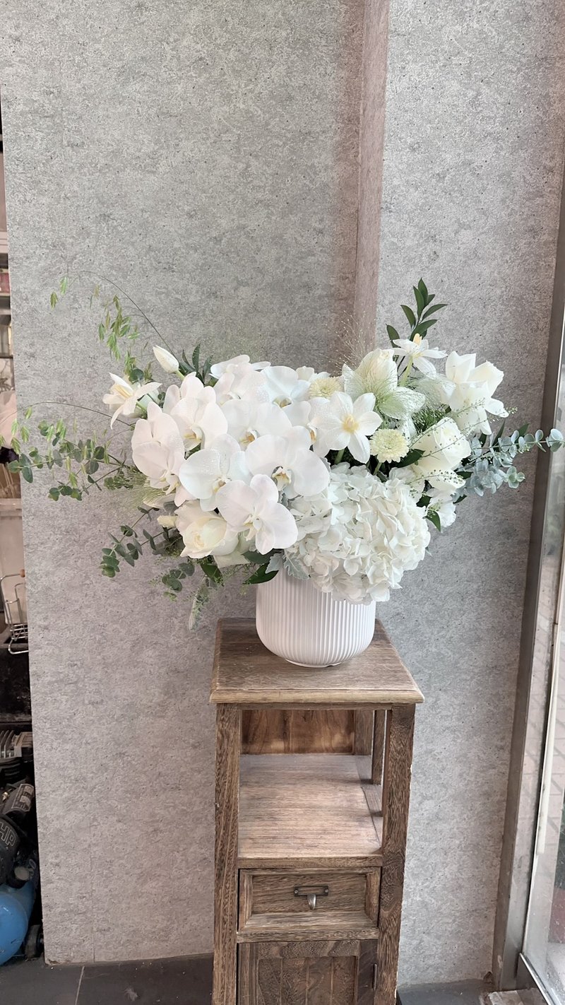 霜白花宴绣球兰花鲜花盆花优雅气质时尚 - 其他 - 植物．花 