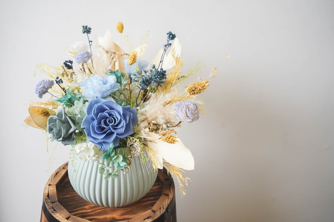【竒花】绿野仙踪永生干燥盆花 开幕 乔迁 升迁 生日 - 干燥花/捧花 - 植物．花 