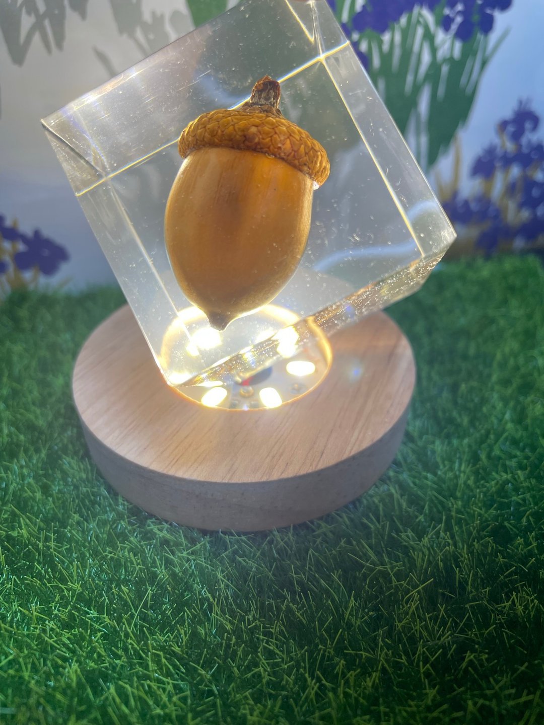 北美红栎水晶胶植物标本 - 摆饰 - 塑料 