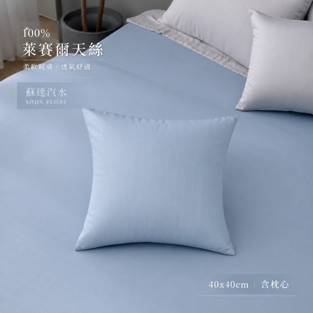 100% 莱赛尔天丝抱枕 台湾制造 40x40cm 含枕心 多色可选 - 枕头/抱枕 - 丝．绢 