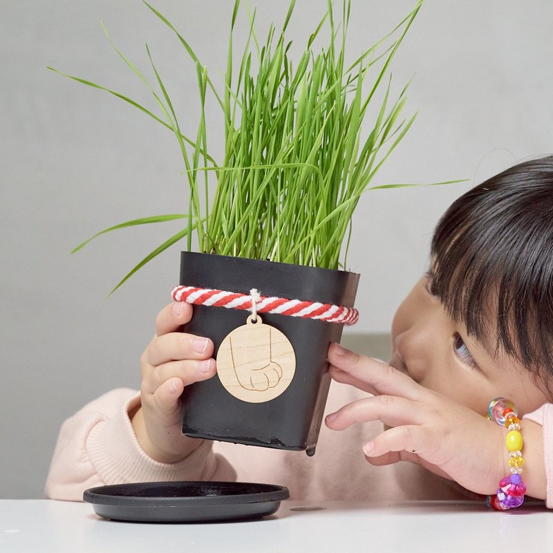 【DIY种植材料包-小麦草】 附赠钥匙圈、宠物友善、猫、亲子手作 - 其他 - 植物．花 