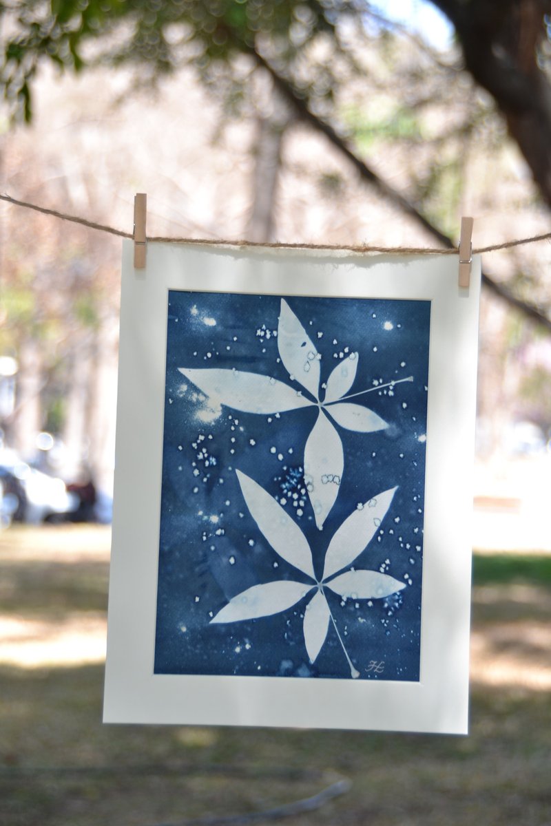 植物剪影。手作湿蓝晒框画 - 墙贴/壁贴 - 纸 蓝色