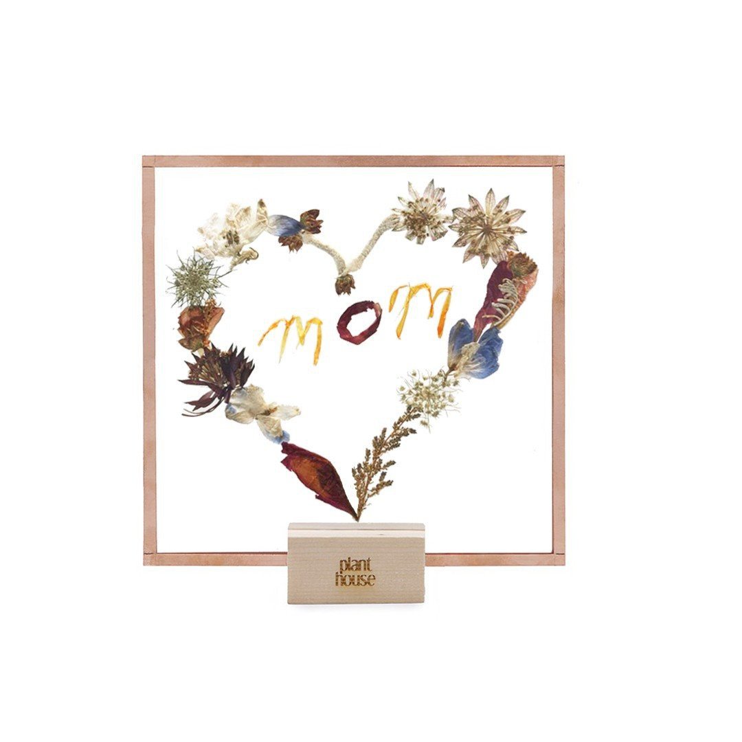 LOVE + MOM Pressed flowers- Plant House - 画框/相框 - 植物．花 多色