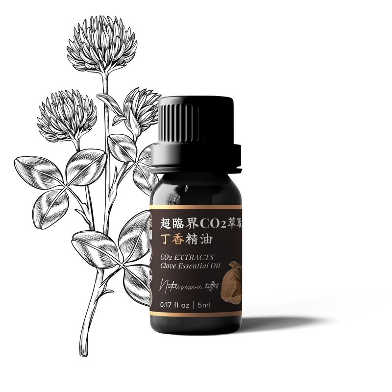 【卡佛香】超临界CO2萃取丁香精油 - 香薰/精油/线香 - 玻璃 黑色