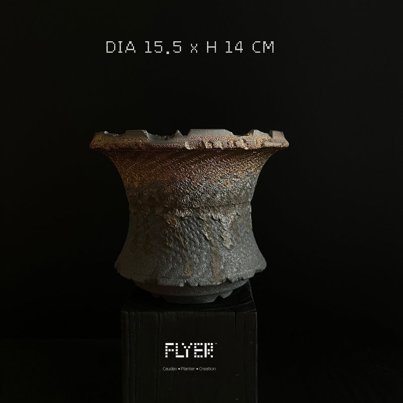 FLYER 块根多肉植物陶盆器 龙舌兰象牙宫象足漆树盆器 - 花瓶/陶器 - 陶 