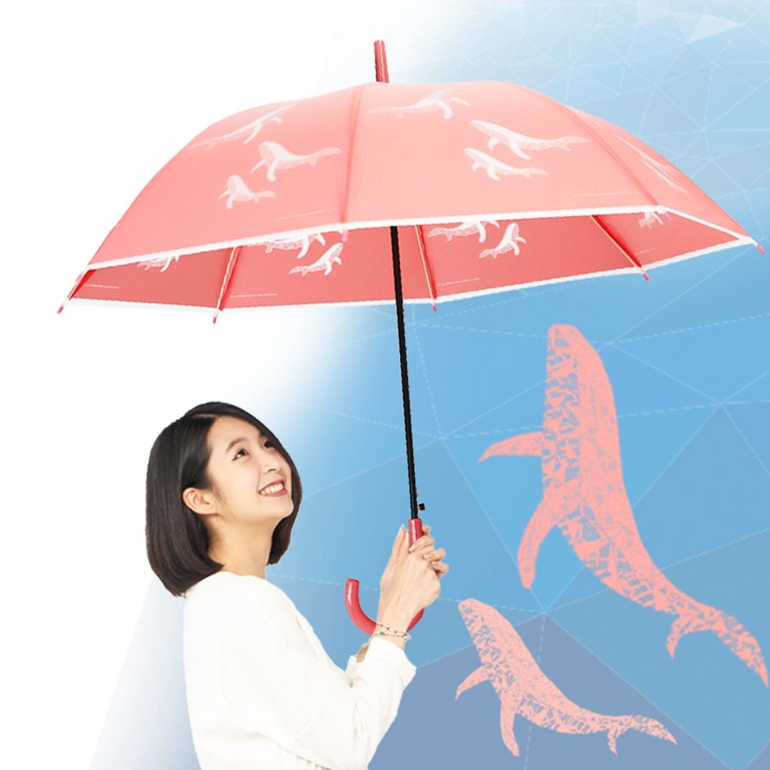 双龙鲸鱼自动直伞果冻伞 大伞面环保伞 动物插画直伞(粉红) - 雨伞/雨衣 - 防水材质 粉红色