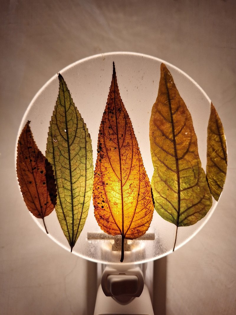 幸福手作押花小夜灯 - 拾叶小夜灯 - 灯具/灯饰 - 塑料 多色