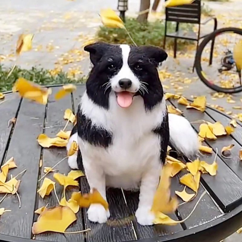 定制 逼真犬 毛孩 宠物 羊毛毡 娃娃 似颜绘 纪念 狗狗 礼物 h4 - 玩具 - 羊毛 多色