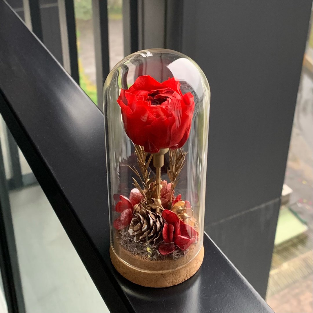 挚爱玫瑰 永生花 挚爱绯红系列 (生日/桌花/氛围感/礼物/家居装饰 - 摆饰 - 植物．花 红色