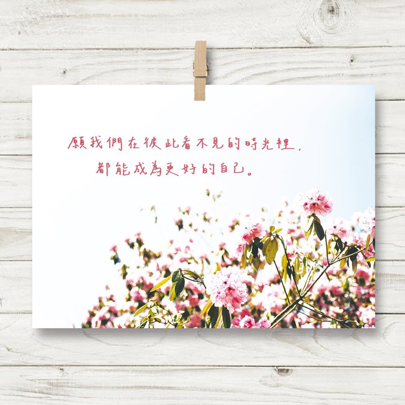 看不见的时光  / 明信片 (U1) - 卡片/明信片 - 纸 粉红色