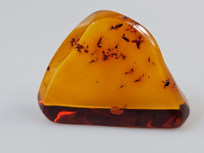 琥珀昆虫化石 琥珀虫 琥珀内含物 波罗的海琥珀石 稀有收藏 - 其他 - 宝石 咖啡色