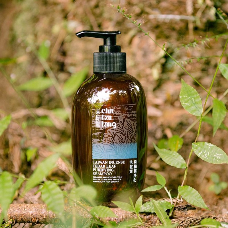 茶籽堂 肖楠叶净化洗发露330mL【头皮问题适用】舒爽微凉感 - 洗发用品 - 植物．花 