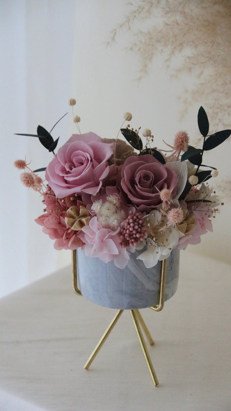 【永生花礼】永生花盆栽 开幕贺礼 干燥花 干燥花桌花 永生玫瑰 - 干燥花/捧花 - 瓷 粉红色