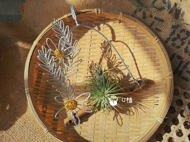 雏菊挂架 - 植栽/盆栽 - 铝合金 金色