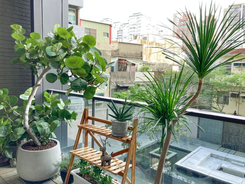 【居家绿化】大楼前阳台设计 - 植栽/盆栽 - 植物．花 