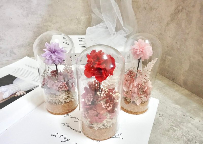 永生康乃馨玻璃罩摆饰 母亲节干燥花设计 - 摆饰 - 玻璃 