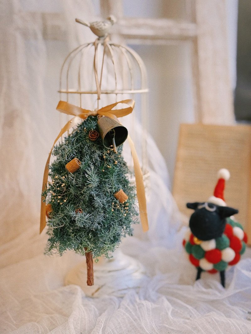 现货 圣诞树挂饰 永生雪松 圣诞节 交换礼物 圣诞节礼物 - 干燥花/捧花 - 植物．花 绿色