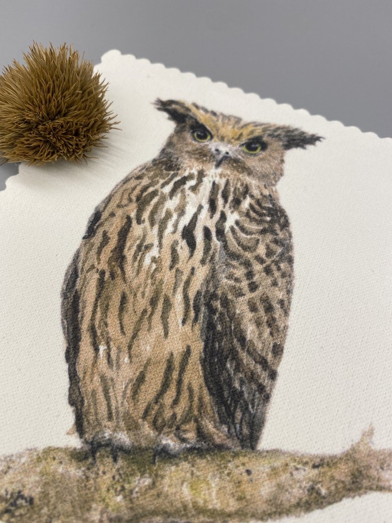 黄鱼鸮 拭净布 眼镜布 值得收藏 - 眼镜盒/眼镜布 - 其他材质 白色