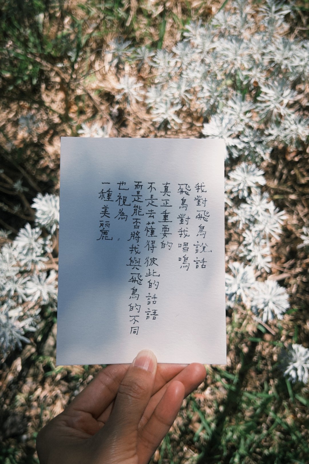 牧歌与炊烟。独一无二的美丽存在 文字明信片 青青的岛 - 卡片/明信片 - 纸 