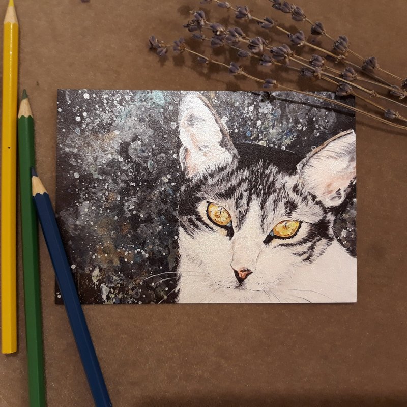 宇宙猫星人-王者 - 卡片/明信片 - 纸 多色