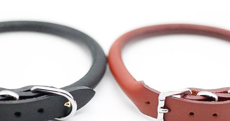 柴犬大学 - 日本进口 柴犬专用真皮项圈 丸首轮 德国鞣革(日本制) - 项圈/牵绳 - 真皮 