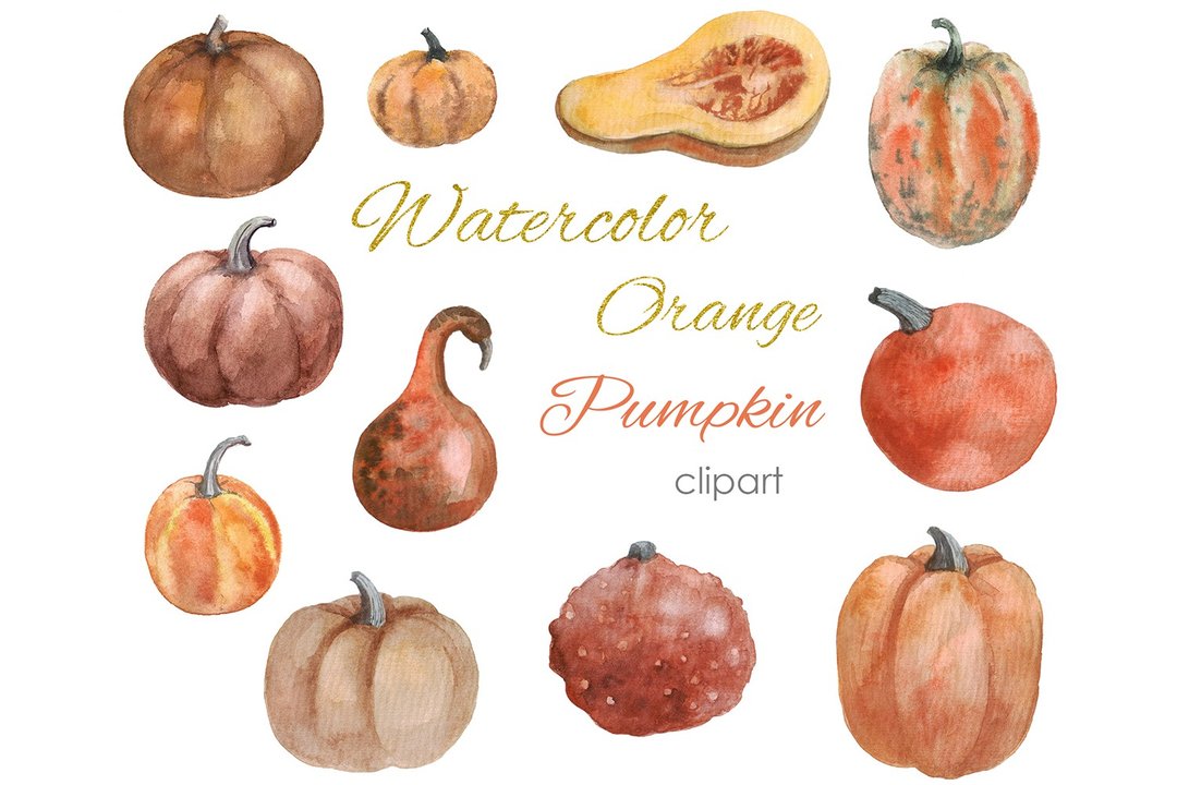 Watercolor Clipart. Hand drawn fall pumpkin clipart. Autumn watercolor woodland - 插画/绘画/写字 - 其他材质 橘色