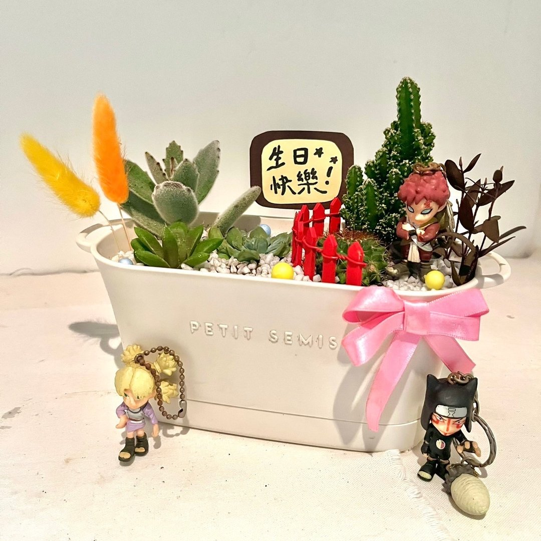 火影忍者 砂瀑 我爱罗 多肉组盆 微景观盆栽 多肉盆栽 生日送礼 - 植栽/盆栽 - 植物．花 绿色