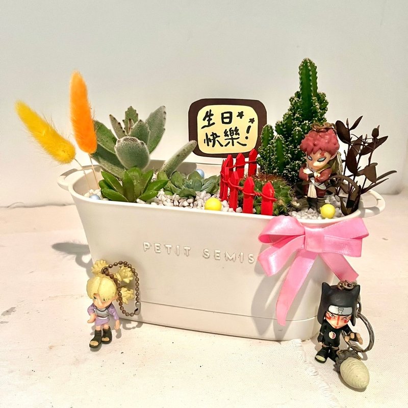 火影忍者 砂瀑 我爱罗 多肉组盆 微景观盆栽 多肉盆栽 生日送礼 - 植栽/盆栽 - 植物．花 绿色
