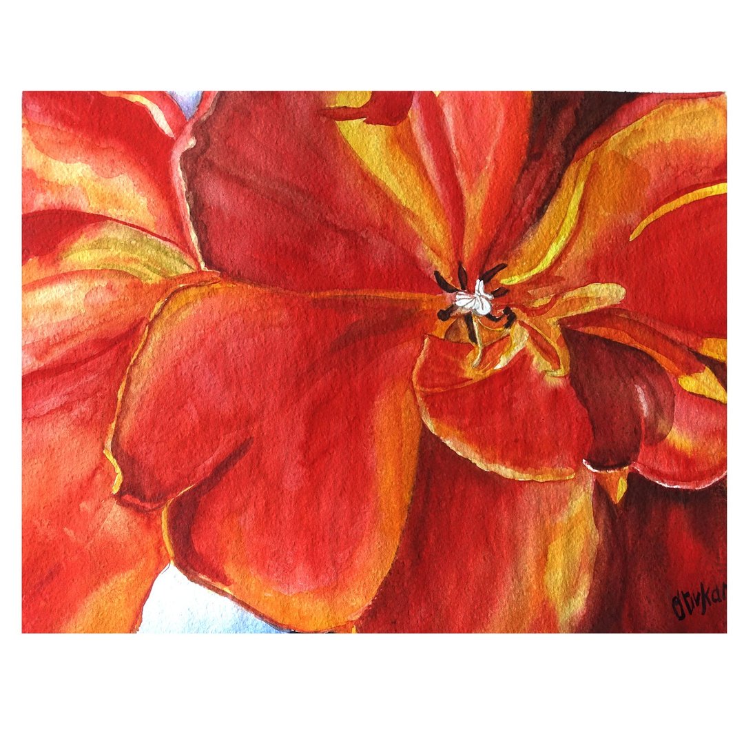 郁金香画水彩花卉艺术品德州原创艺术郁金香花卉艺术 - 墙贴/壁贴 - 其他材质 多色