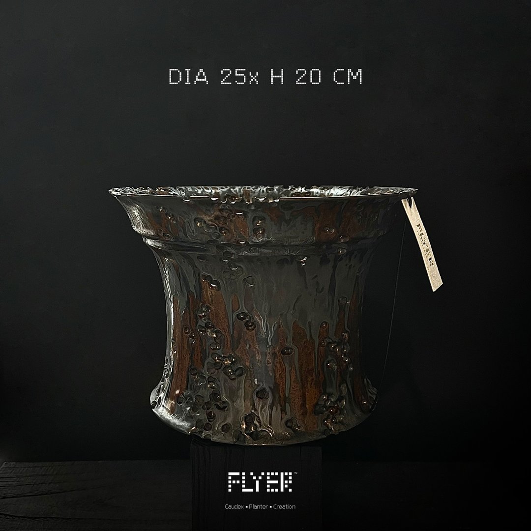 FLYER 块根多肉植物陶盆器 龙舌兰象牙宫象足漆树盆器 - 花瓶/陶器 - 陶 