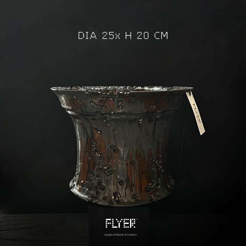 FLYER 块根多肉植物陶盆器 龙舌兰象牙宫象足漆树盆器 - 花瓶/陶器 - 陶 