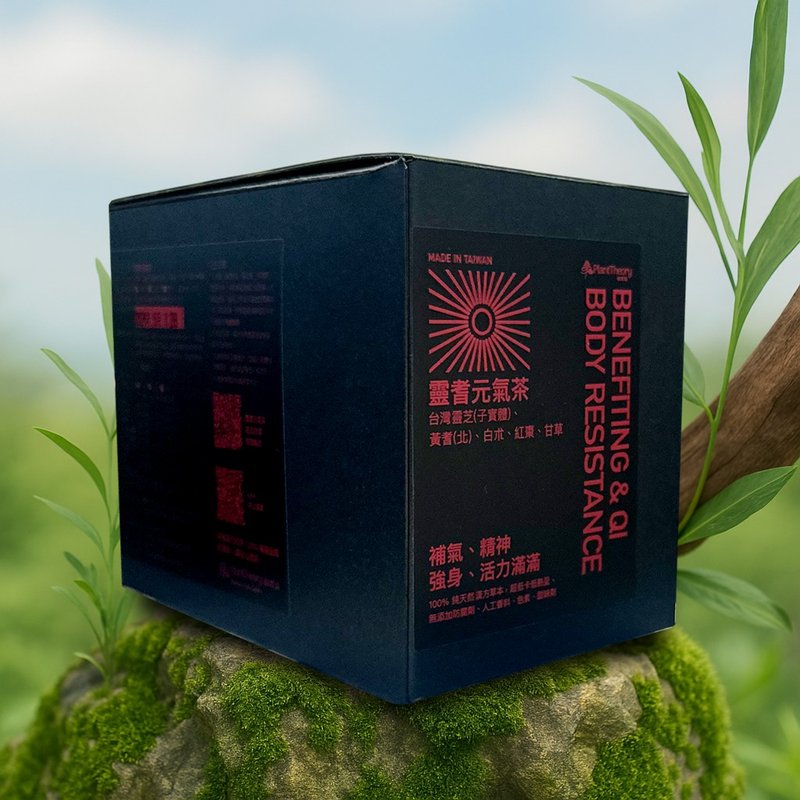 【补气 精神】灵耆元气茶 | 汉方 | 灵芝 黄耆 | 12入 14入 送礼 - 茶 - 新鲜食材 