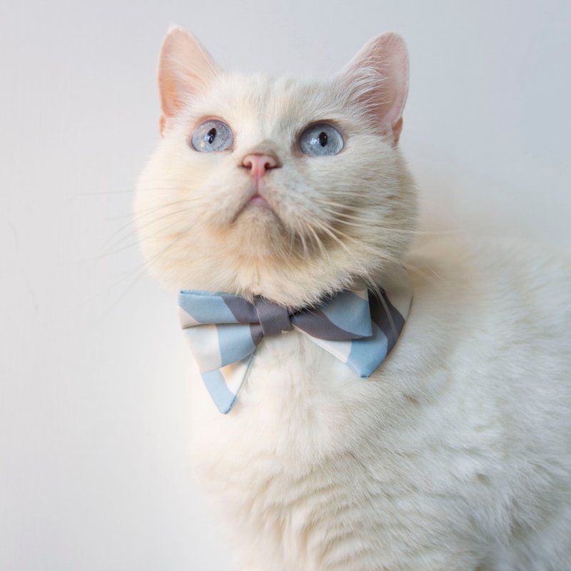 蓝白圆园 宠物项圈 领结造型蓝白色围脖 不同尺寸猫狗可用 可印名 - 项圈/牵绳 - 其他人造纤维 蓝色