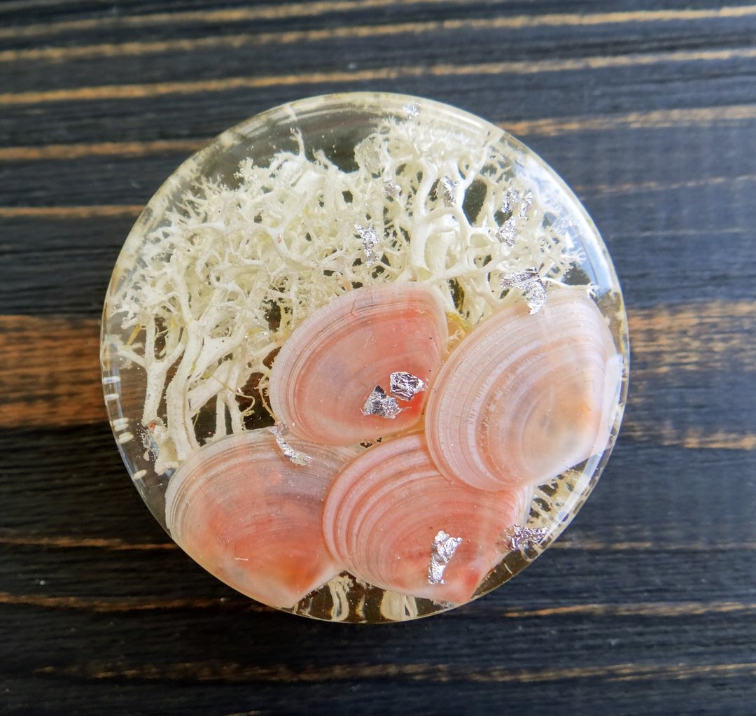 Seashell plug earrings  Salmon pink 00g tunnels gauges jewelry Nautical - 耳环/耳夹 - 宝石 粉红色