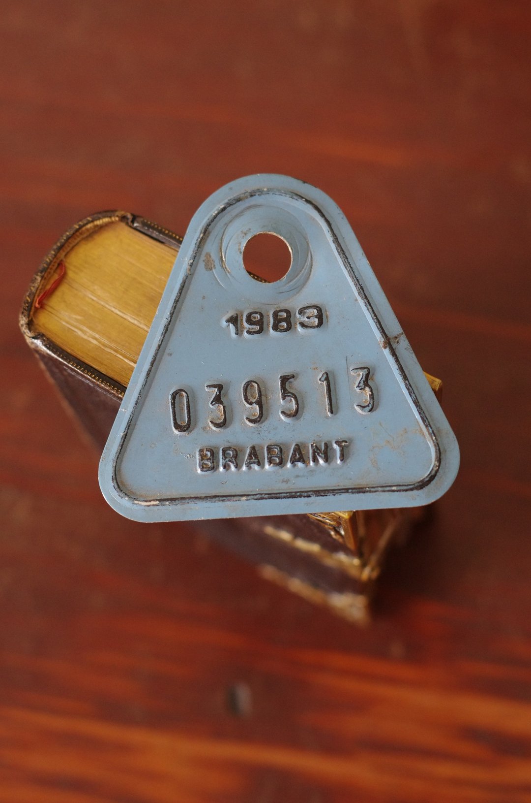 少见古董1983年比利时脚踏车牌 铁牌 烤漆 摆饰 W726 - 钥匙链/钥匙包 - 其他金属 金色