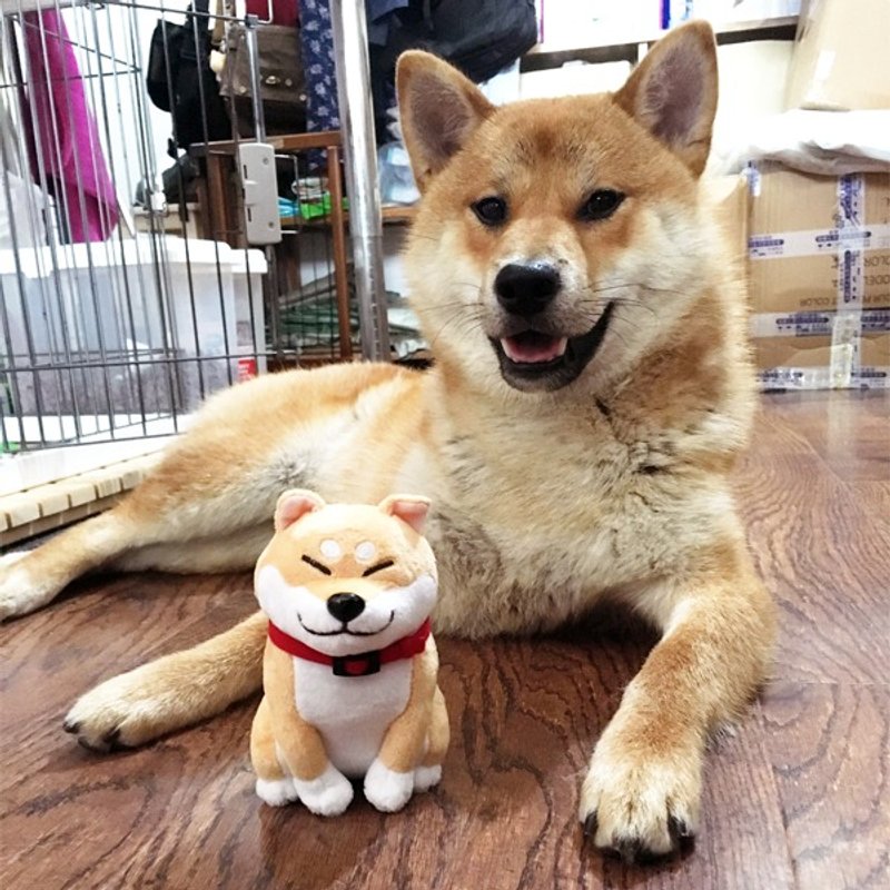 仓屋 大屁屁 柴犬公仔/摆件 毛绒玩偶项圈款 - 玩偶/公仔 - 聚酯纤维 