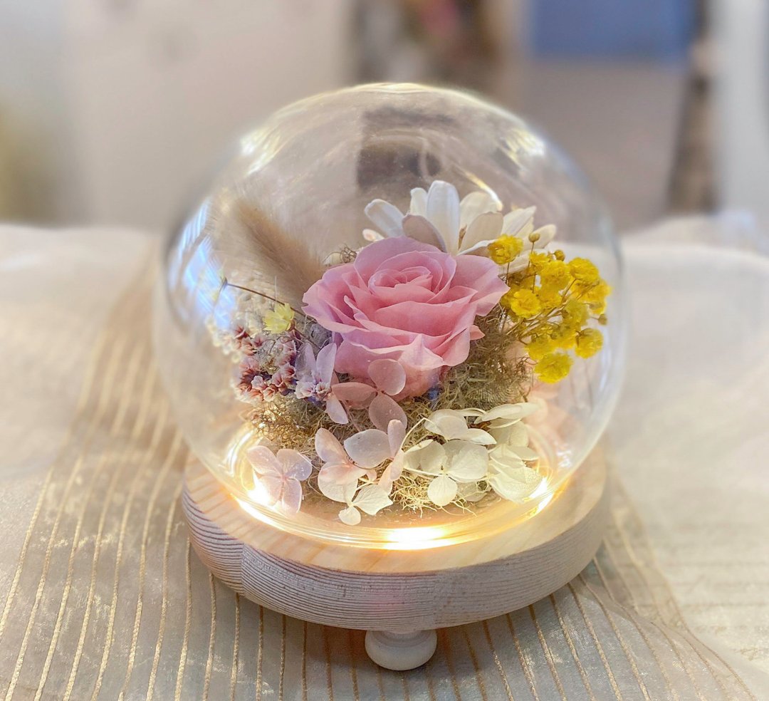 永生花玻璃盅 夜灯 永生玫瑰 原木槽灯有脚 防尘罩 - 花瓶/陶器 - 玻璃 紫色